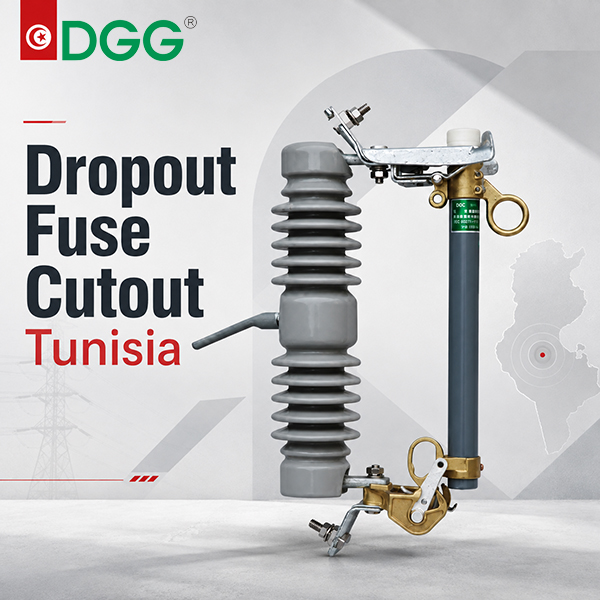 Cum să selectați decupaje pentru siguranțe de &icirc;ntrerupere exterioare pentru rețelele de 10, 15 și 30 KV din Tunisia